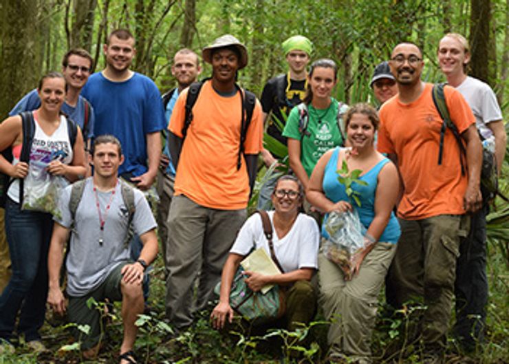 Students in Field Botany Class Study Coastal Plant Catawba College