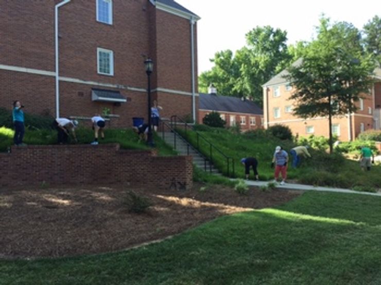 College Employees Help Beautify Catawba’s Campus Catawba College