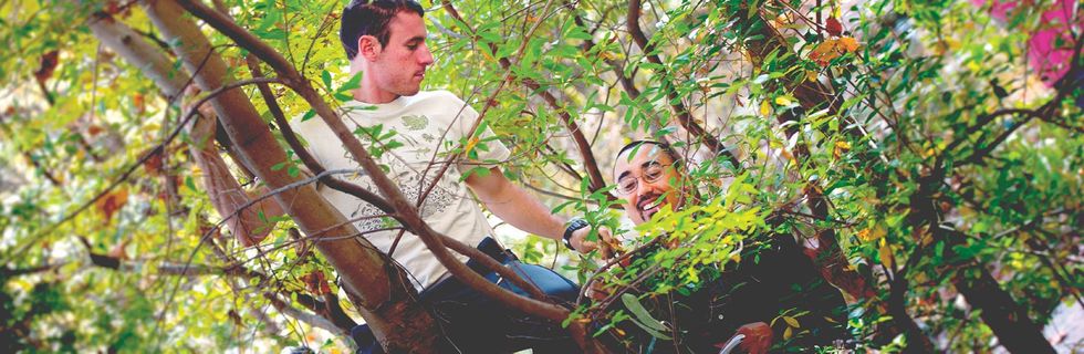 Environment and Sustainability Student in a tree in Preserve