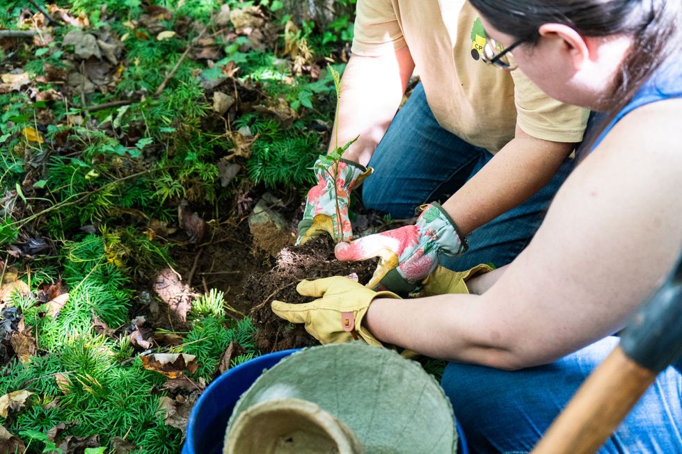 Constructive Plant Rescue | Catawba College
